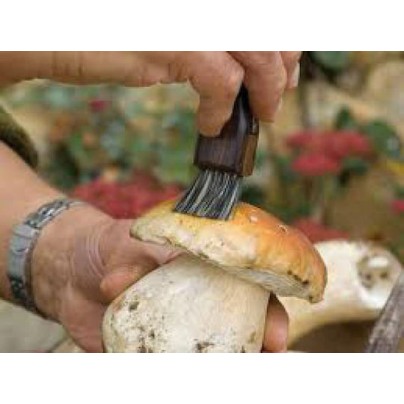 Opinel Νο.08 Σουγιάς Καφέ