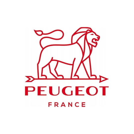 Peugeot Χειροκίνητος Μύλος Πιπεριού Ξύλινος σε Γκρι Χρώμα 10cm