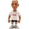 Minix Tottenham Richarlison