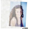 Daiber Άλμπουμ Glassine Sleeves 1x1000 Κατάλληλο για Φωτογραφίες 13x18εκ. Λευκό 13x18εκ.