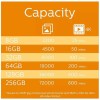 Philips FM08MP45B microSDHC 8GB U1 V10 High Speed με αντάπτορα
