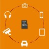 Philips FM08MP45B microSDHC 8GB U1 V10 High Speed με αντάπτορα