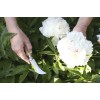 Opinel Νο.08 Garden Σουγιάς Καφέ
