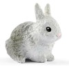 Schleich-S Farm World Rabbit Hutch για 3-8 Ετών