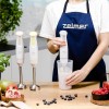 Zelmer Ραβδομπλέντερ με Ανοξείδωτη Ράβδο 800W Λευκό