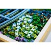 LEGO Art Claude Monet – Bridge over a Pond of Water Lilies για 18+ Ετών 3179τμχ