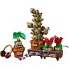 LEGO Harry Potter Harry Potter Hogwarts Herbalism Plants για 12+ Ετών 817τμχ