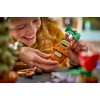 LEGO Harry Potter Harry Potter Hogwarts Herbalism Plants για 12+ Ετών 817τμχ