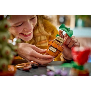 LEGO Harry Potter Harry Potter Hogwarts Herbalism Plants για 12+ Ετών 817τμχ