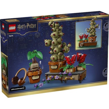 LEGO Harry Potter Harry Potter Hogwarts Herbalism Plants για 12+ Ετών 817τμχ