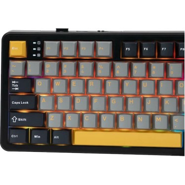 Aula F108 Ασύρματο Gaming Πληκτρολόγιο με Custom διακόπτες και RGB φωτισμό (Αγγλικό US)