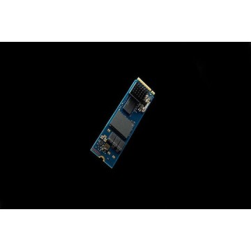 Kingston DC2000B SSD 960GB M.2 NVMe PCI Express 4.0