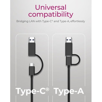 Icy Box IB-LAN301-C3 USB-C Αντάπτορας Δικτύου για Ενσύρματη σύνδεση Ethernet