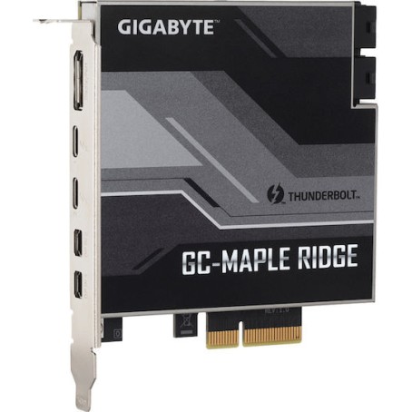 Gigabyte (rev. 1.0)