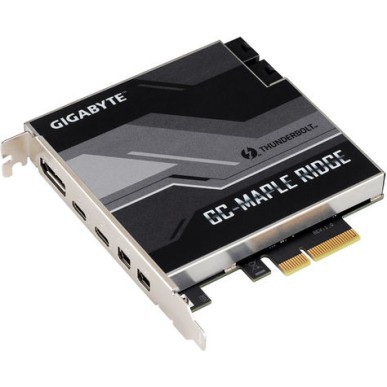 Gigabyte (rev. 1.0)