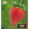 Epson 29 Γνήσιο Πακέτο 4 Μελανιών Εκτυπωτή InkJet Κίτρινο / Κυανό / Ματζέντα / Μαύρο (C13T29864010 C13T29864012)