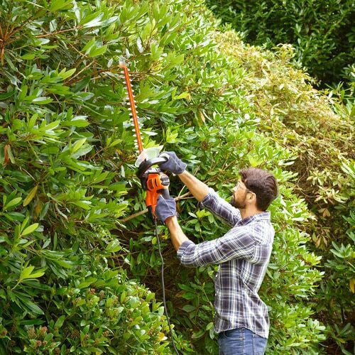 Black & Decker BEHTS451 Ηλεκτρικό Μπορντουροψάλιδο 550W με Μήκος Λάμας 60cm