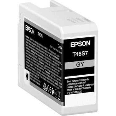 Epson T46S7 UltraChrome Pro 10 Γνήσιο Μελάνι Εκτυπωτή InkJet Γκρι (C13T46S700)