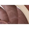 Noctua NF-A12x25 LS Case Fan 120mm με Σύνδεση 4-Pin PWM Καφέ