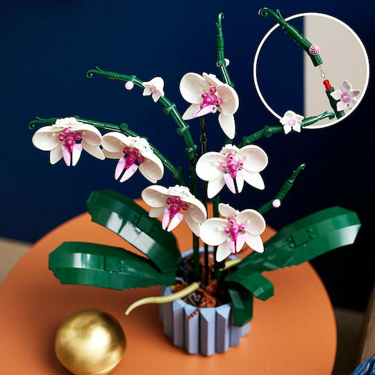 Lego Botanical Collection Orchid για 18+ Ετών 608τμχ