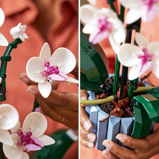 Lego Botanical Collection Orchid για 18+ Ετών 608τμχ