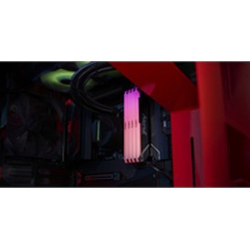 Kingston FURY Beast RGB DDR4 με Module 1x32GB και Ταχύτητα 3200 για Desktop