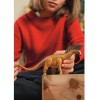 Schleich-S Παιχνίδι Μινιατούρα Δεινόσαυρος Γκρι για 3+ Ετών 10εκ.