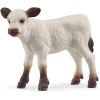 Schleich-S Παιχνίδι Μινιατούρα Cowgirl Team για 3+ Ετών