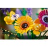 Lego Botanical Collection Wildflower Bouquet για 18+ Ετών 939τμχ