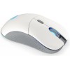 Endorfy GEM Plus 26000 RGB Gaming Ποντίκι 26000 DPI Onyx White