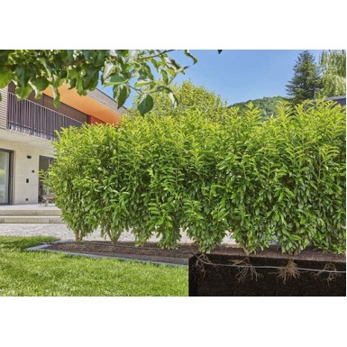 Gardena 13504-20 Σταλακτηφόρος Σωλήνας 50m