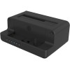 Icy Box Docking Station για 2 Σκληρούς Δίσκους SATA/PCIe M.2 (2260)