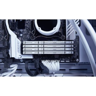 Kingston Fury Beast DDR5 με Module 1x32GB και Ταχύτητα 5600 για Desktop