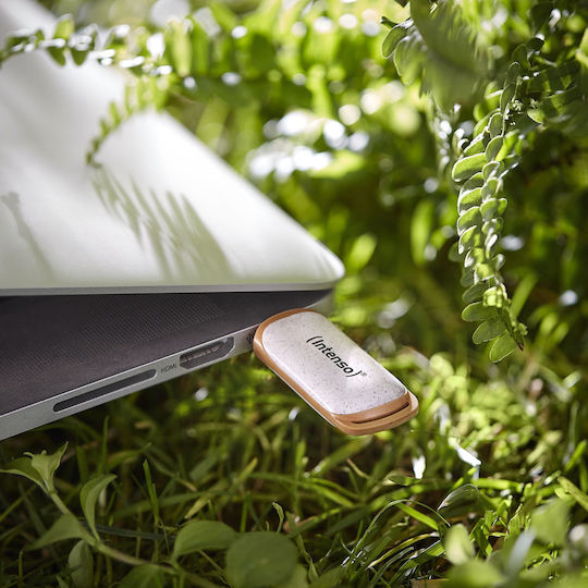 Intenso Green Line 64GB USB 3.2 Stick Καφέ
