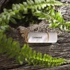 Intenso Green Line 128GB USB 3.2 Stick Καφέ