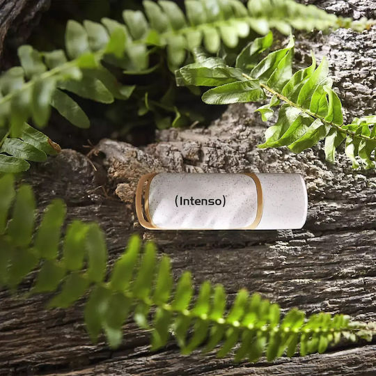 Intenso Green Line 128GB USB 3.2 Stick Καφέ
