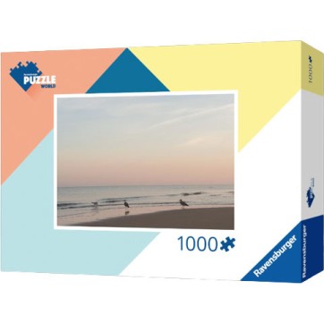 Puzzle 2D 1000pcs