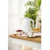Adler Βραστήρας 1.7lt 2200W White