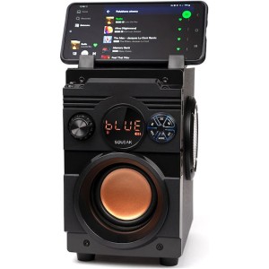 Squeak SQ1001 Ηχείο Bluetooth 20W με Ραδιόφωνο και Διάρκεια Μπαταρίας έως 7 ώρες Μαύρο