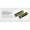 XTAR Επαναφορτιζόμενη Μπαταρία 14500 Li-Mn 800mAh 3.7V 1τμχ