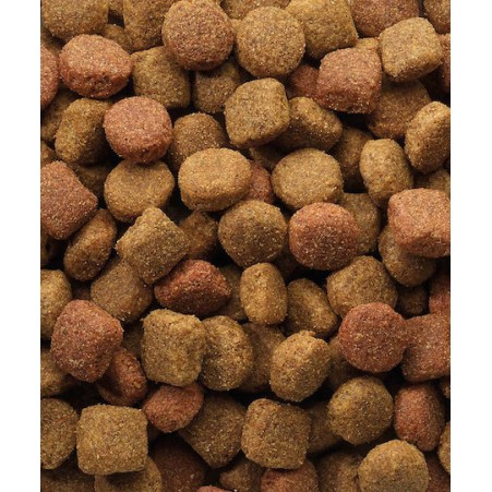 Versele Laga Classic Duo Krok 20kg Ξηρά Τροφή Σκύλων χωρίς Γλουτένη με Κοτόπουλο