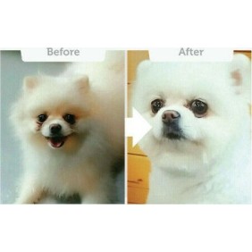 Nature's Protection Superior Care White Dogs 1.5kg Ξηρά Τροφή χωρίς Σιτηρά & Γλουτένη για Ενήλικους Σκύλους Μικρόσωμων Φυλών με Ψάρια