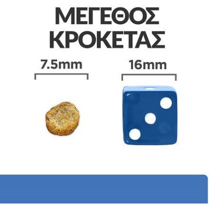 Hill's Prescription Diet Derm Complete Mini 1kg Ξηρά Τροφή χωρίς Γλουτένη για Ενήλικους Σκύλους Μικρόσωμων Φυλών με Κρέας