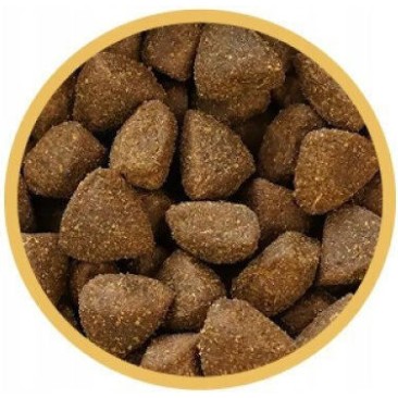 Biofeed 12kg Ξηρά Τροφή χωρίς Γλουτένη για Κουτάβια Μεσαίων & Μεγαλόσωμων Φυλών με Κρέας, Γαλοπούλα, Κουνέλι και Λαγό