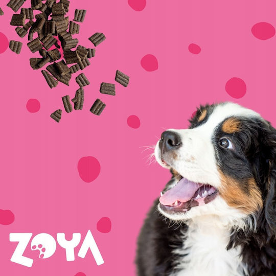 Zoya 9kg Ξηρά Τροφή Σκύλων με Βοδινό