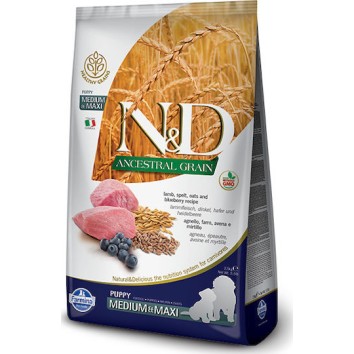 Farmina N&D Ancestral Grain Puppy Medium & Maxi 12kg Ξηρά Τροφή χωρίς Γλουτένη, με Λίγα Σιτηρά για Κουτάβια Μεσαίων & Μεγαλόσωμων Φυλών με Αρνί