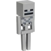 PMI Minecraft