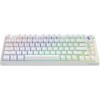 Savio Phenix ABS Ασύρματο Gaming Μηχανικό Πληκτρολόγιο 75% με Gateron Red Pro διακόπτες και RGB φωτισμό (Αγγλικό US) Λευκό
