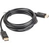 Lanberg Cable DisplayPort male - DisplayPort male 3m (CA-DPDP-10CC-0030-BK)