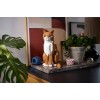 LEGO Ideas Orange Cat για 18+ Ετών 1755τμχ